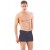 Arias Closet Antrasit MI Emay 2108 Seamless uzun Erkek Boxer